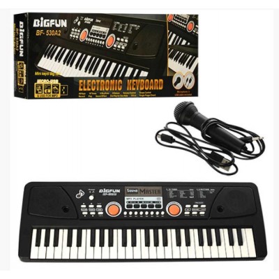 Детский синтезатор BF-530A2 49 клавиш, микрофон, USB, mp3, запись, Demo, от сети , от 3 лет