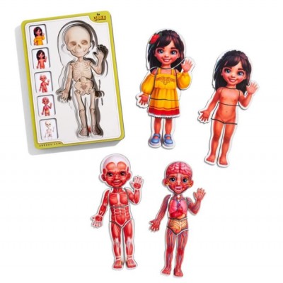 Деревянный пазл-вкладыш "Анатомия человека – девочка-2" (ПСД263) PSD263 телосложение, пакунок малюка