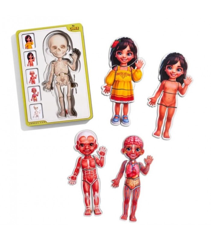 Деревянный пазл-вкладыш "Анатомия человека – девочка-2" (ПСД263) PSD263 телосложение, пакунок малюка