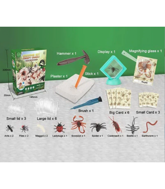Раскопки G 504 Насекомые, гипсовый блок, инструменты, лупа, карточки, пакунок малюка