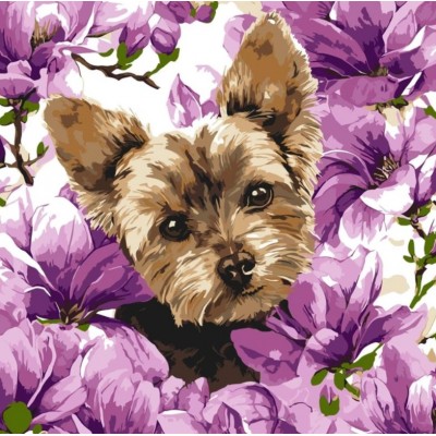 Набор для росписи по номерам "Йорк в магнолии", 40×40 см (KHO6796), пакунок малюка