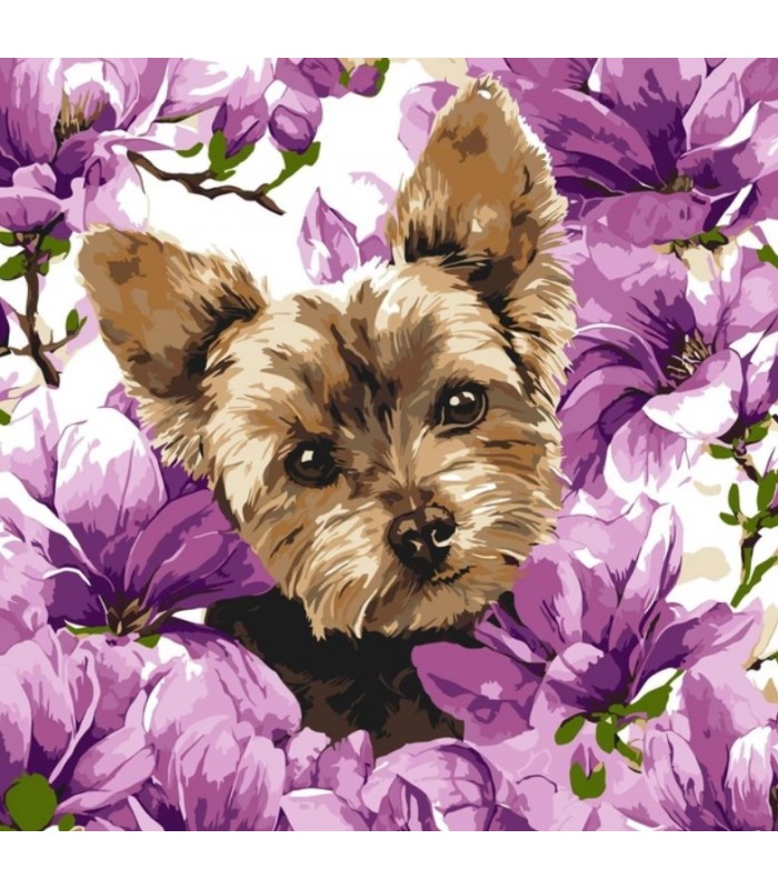 Набор для росписи по номерам "Йорк в магнолии", 40×40 см (KHO6796), пакунок малюка