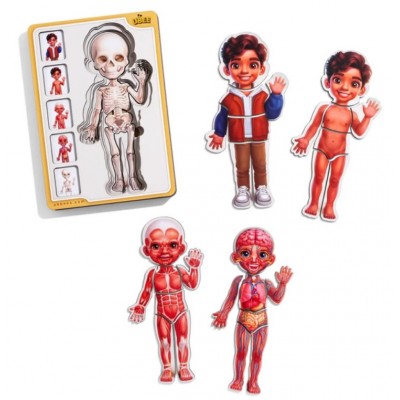 Деревянный пазл-вкладыш "Анатомия человека - мальчик-2" (ПСД261) PSD261 Телосложение., пакунок малюка