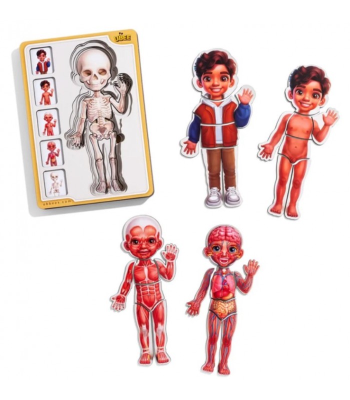 Деревянный пазл-вкладыш "Анатомия человека - мальчик-2" (ПСД261) PSD261 Телосложение., пакунок малюка